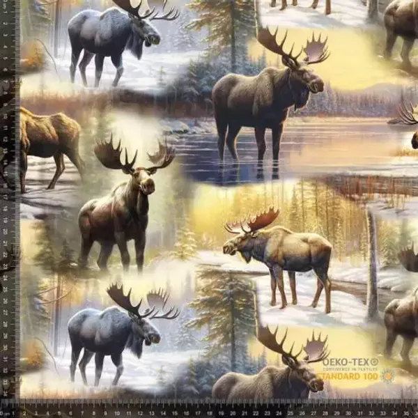 Hovedbilde Elg I Solnedgang